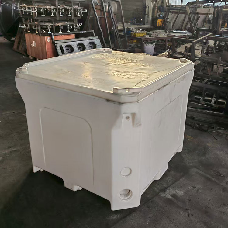 Cooler Box Mold