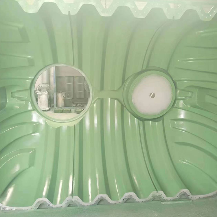 Septic Tank Mold