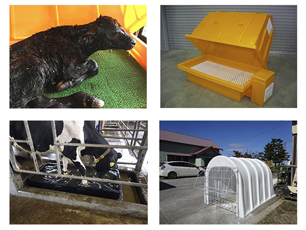 Calf-Hutch-Mold3