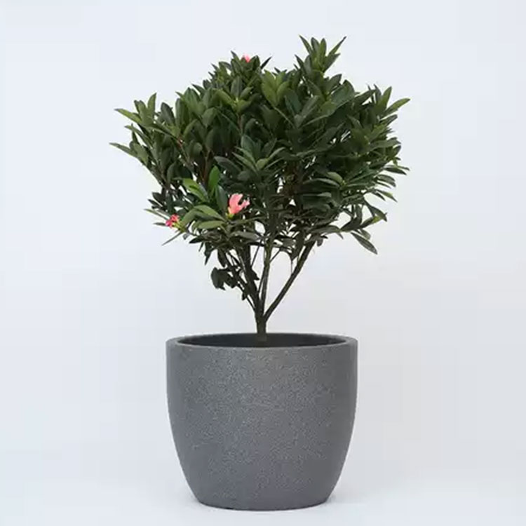 Flower Pot Mold